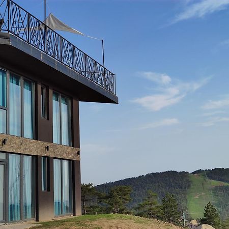 Vila Onyx Дивчибаре Экстерьер фото